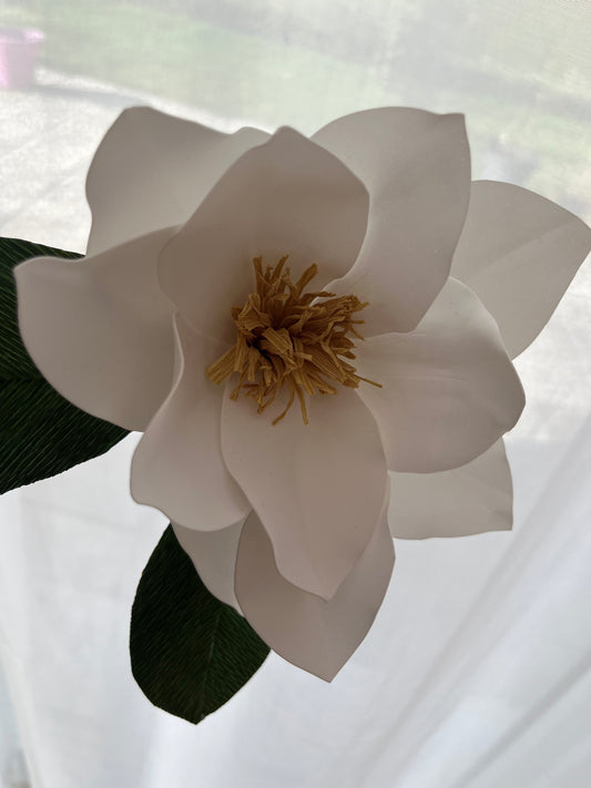 Fleur de Magnolia